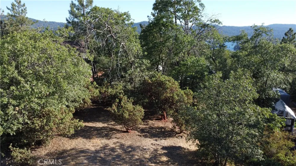 1248 Glacier Drive Lake Arrowhead, CA 92352