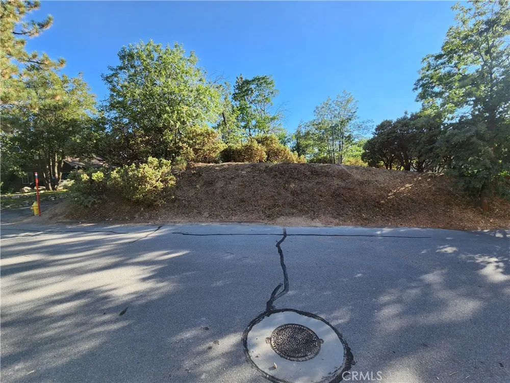 1248 Glacier Drive Lake Arrowhead, CA 92352