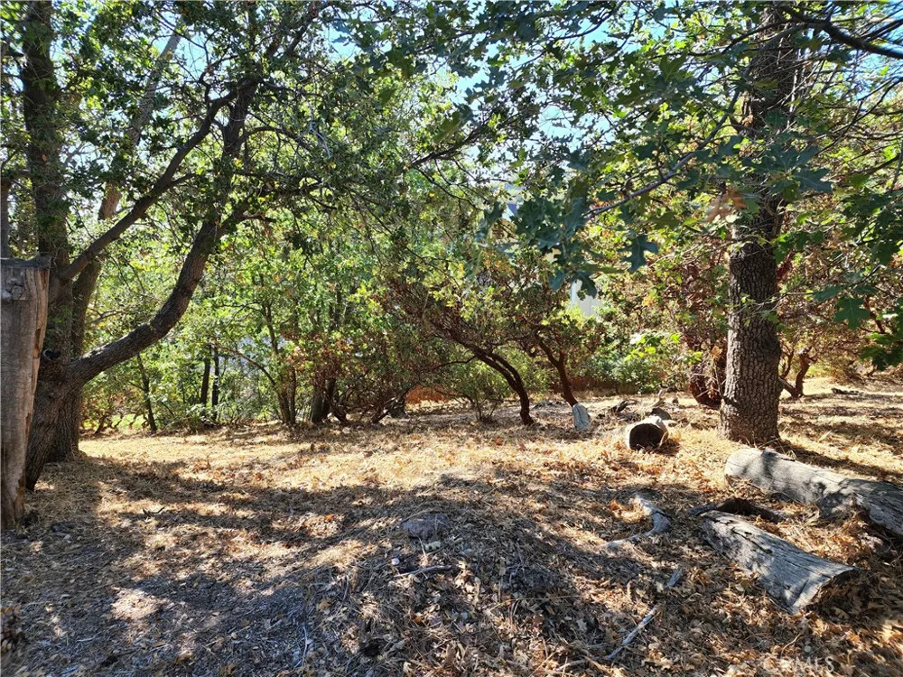 1248 Glacier Drive Lake Arrowhead, CA 92352