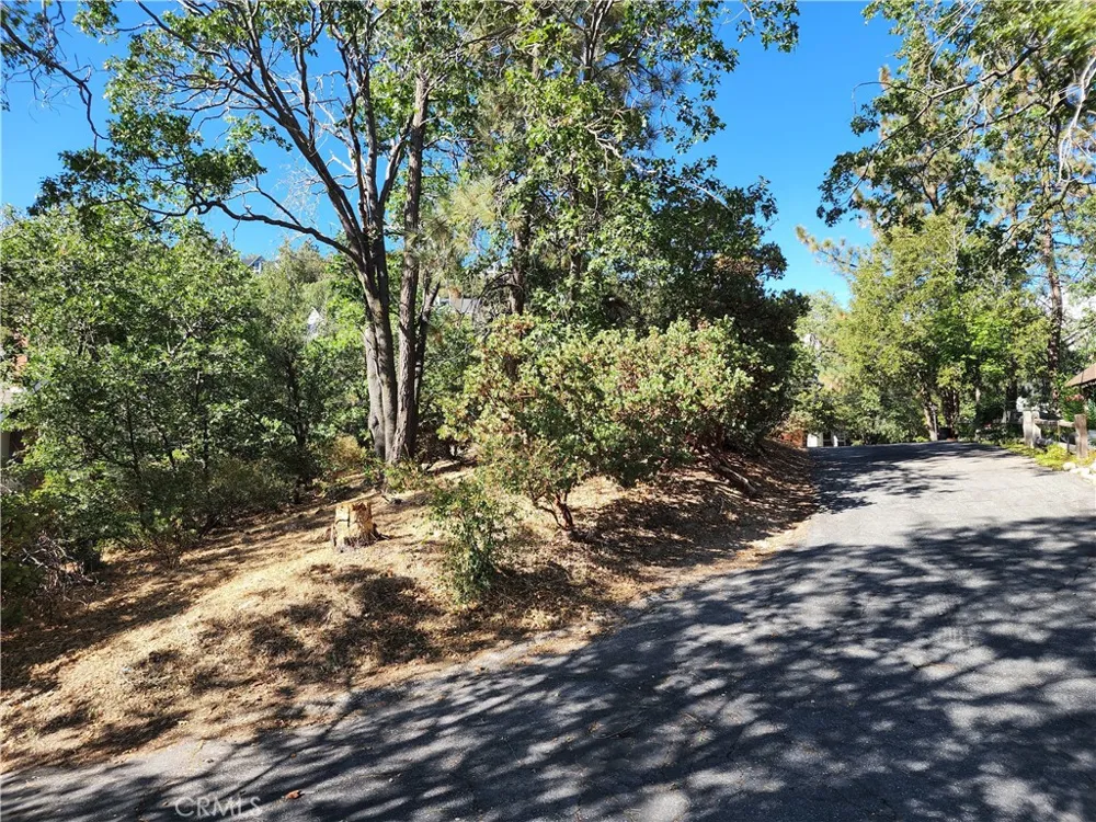 1248 Glacier Drive Lake Arrowhead, CA 92352