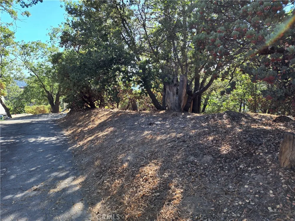 1248 Glacier Drive Lake Arrowhead, CA 92352