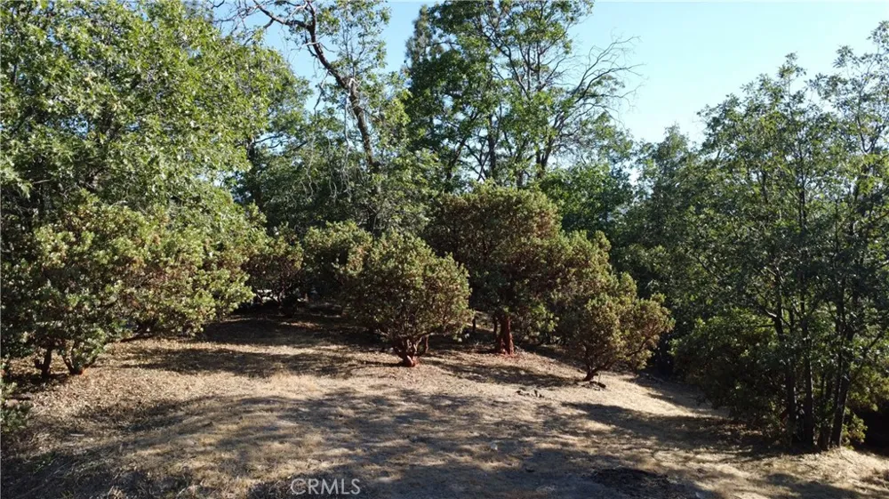 1248 Glacier Drive Lake Arrowhead, CA 92352