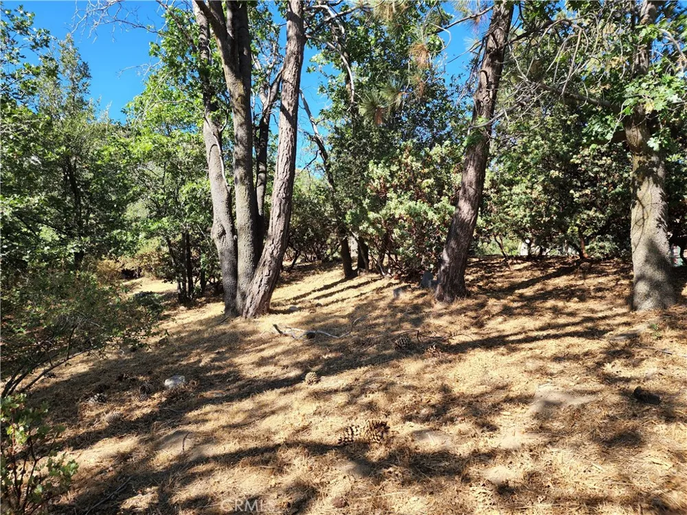 1248 Glacier Drive Lake Arrowhead, CA 92352