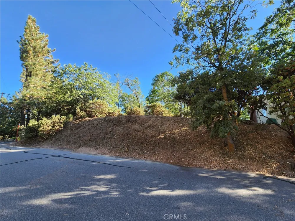 1248 Glacier Drive Lake Arrowhead, CA 92352