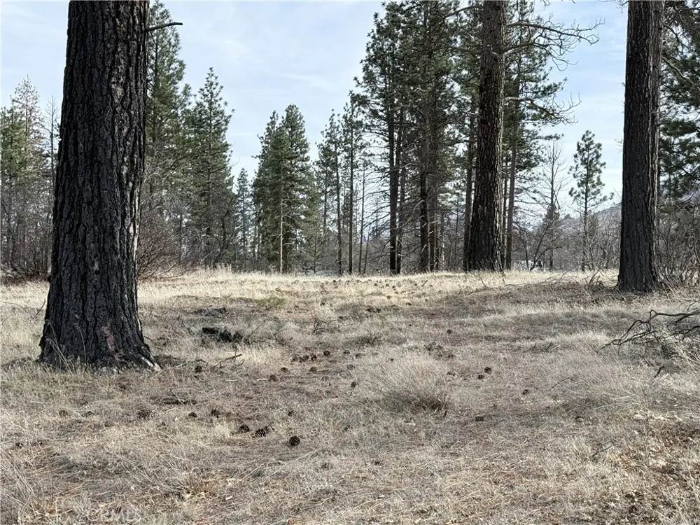713400 Jeters Road Janesville, CA 96114