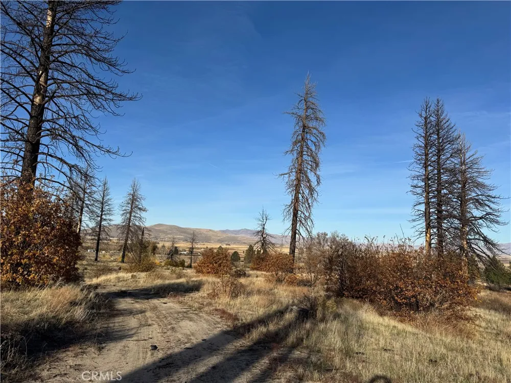 713400 Jeters Road Janesville, CA 96114
