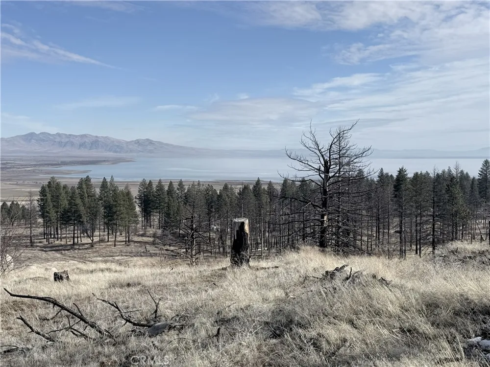 713400 Jeters Road Janesville, CA 96114