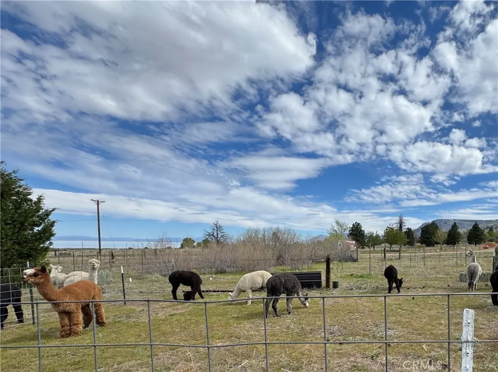 713400 Jeters Road Janesville, CA 96114
