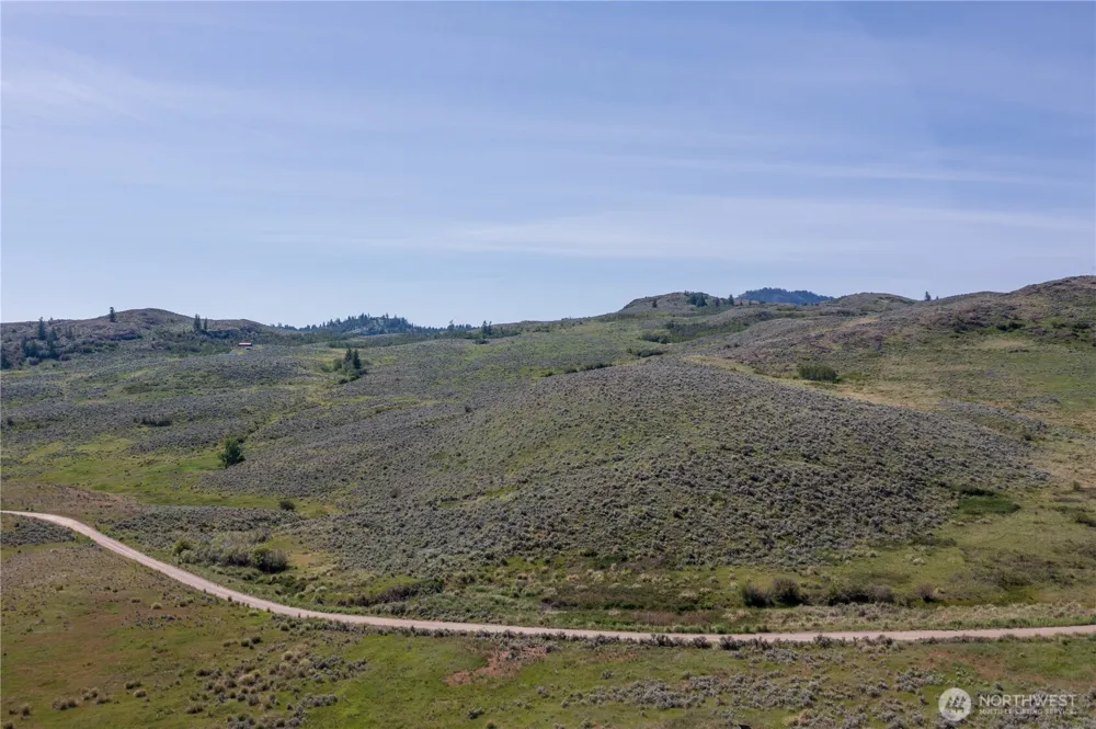 0 NNA Ellemeham Mountain Road Oroville, WA 98844