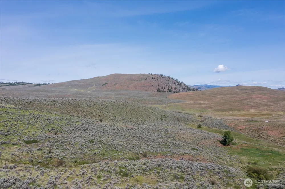 0 NNA Ellemeham Mountain Road Oroville, WA 98844