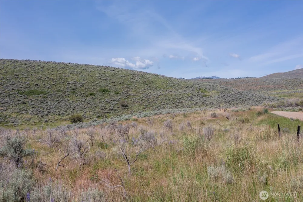 0 NNA Ellemeham Mountain Road Oroville, WA 98844