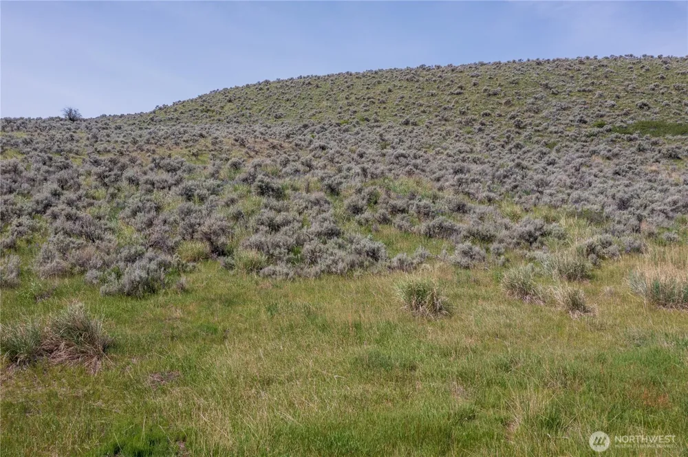 0 NNA Ellemeham Mountain Road Oroville, WA 98844