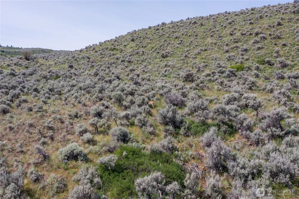 0 NNA Ellemeham Mountain Road Oroville, WA 98844