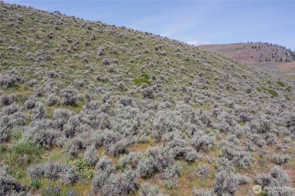0 NNA Ellemeham Mountain Road Oroville, WA 98844