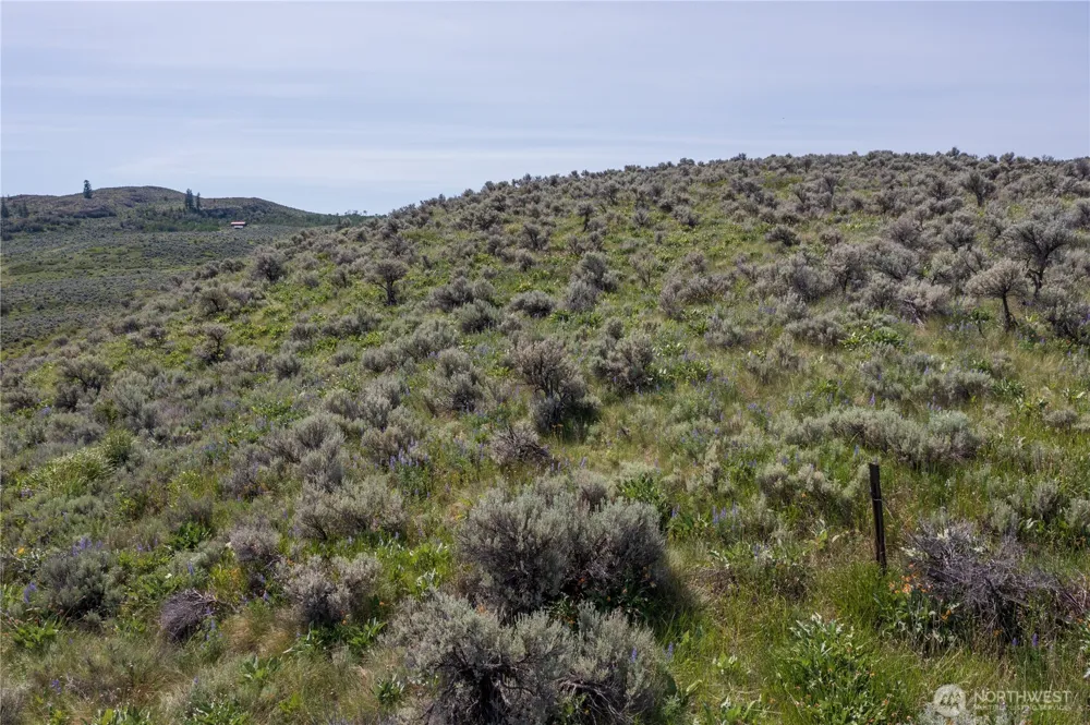 0 NNA Ellemeham Mountain Road Oroville, WA 98844