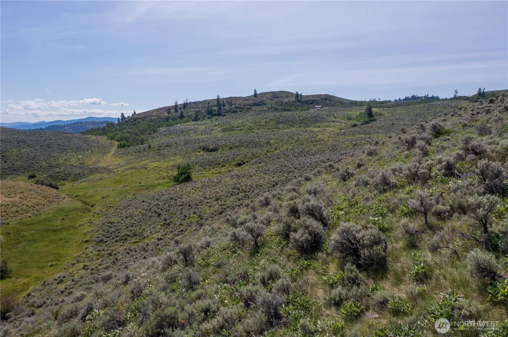 0 NNA Ellemeham Mountain Road Oroville, WA 98844