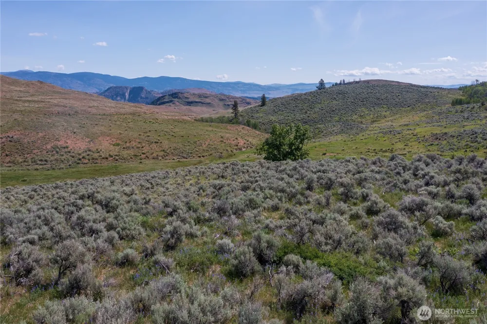 0 NNA Ellemeham Mountain Road Oroville, WA 98844