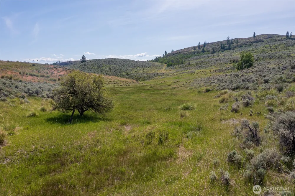 0 NNA Ellemeham Mountain Road Oroville, WA 98844