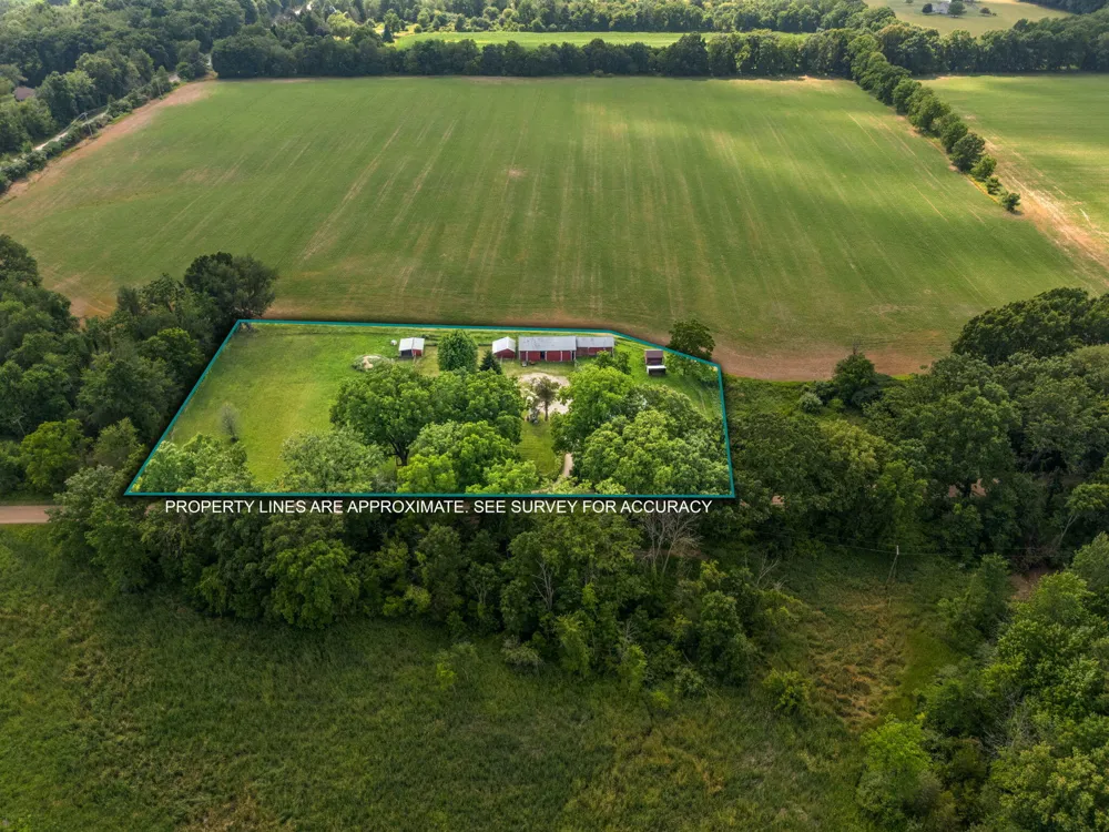 11230 Hoyt Road Munith, MI 49259