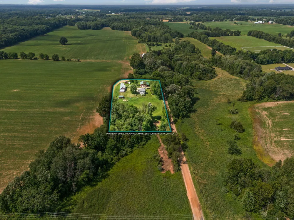 11230 Hoyt Road Munith, MI 49259