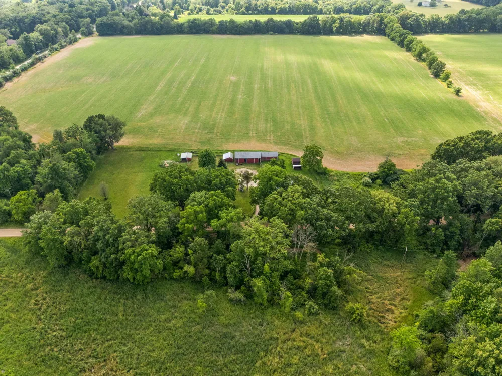 11230 Hoyt Road Munith, MI 49259