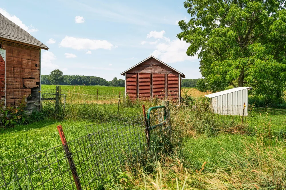 11230 Hoyt Road Munith, MI 49259