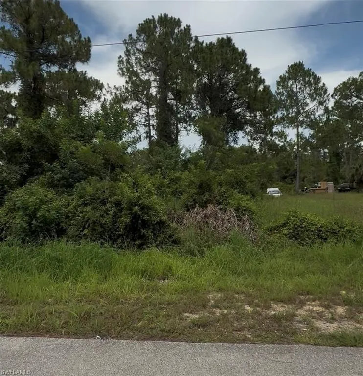 2018 Leroy Avenue Alva, FL 33920