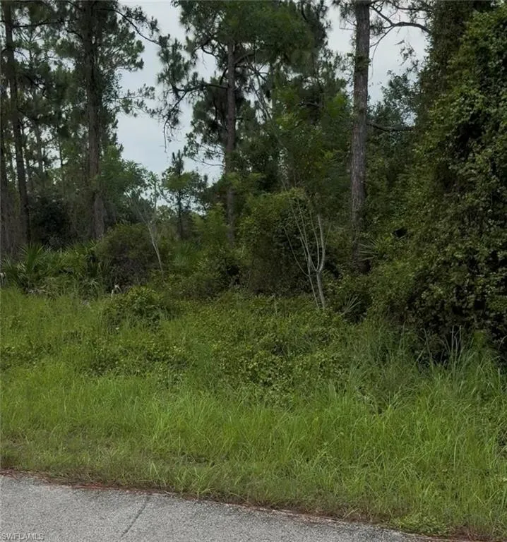 2018 Leroy Avenue Alva, FL 33920