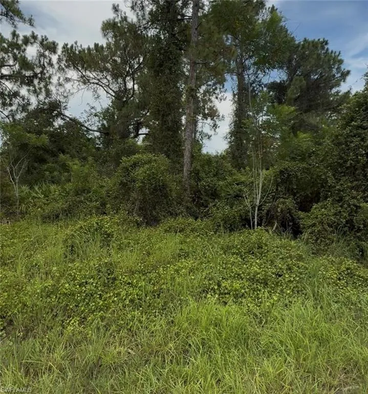 2018 Leroy Avenue Alva, FL 33920