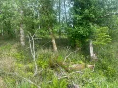 543 Duck Lake Drive NE Ocean Shores, WA 98569