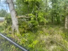 543 Duck Lake Drive NE Ocean Shores, WA 98569