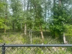 543 Duck Lake Drive NE Ocean Shores, WA 98569