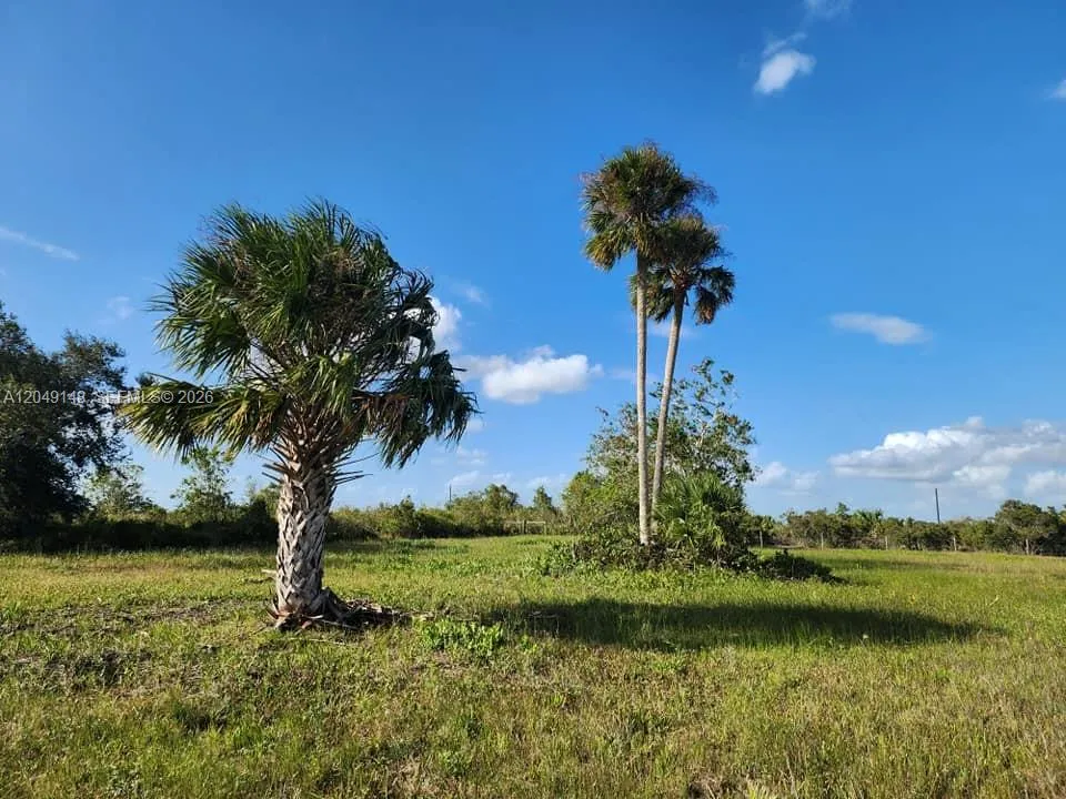 18717 NW 258 st Okeechobee, FL 34972
