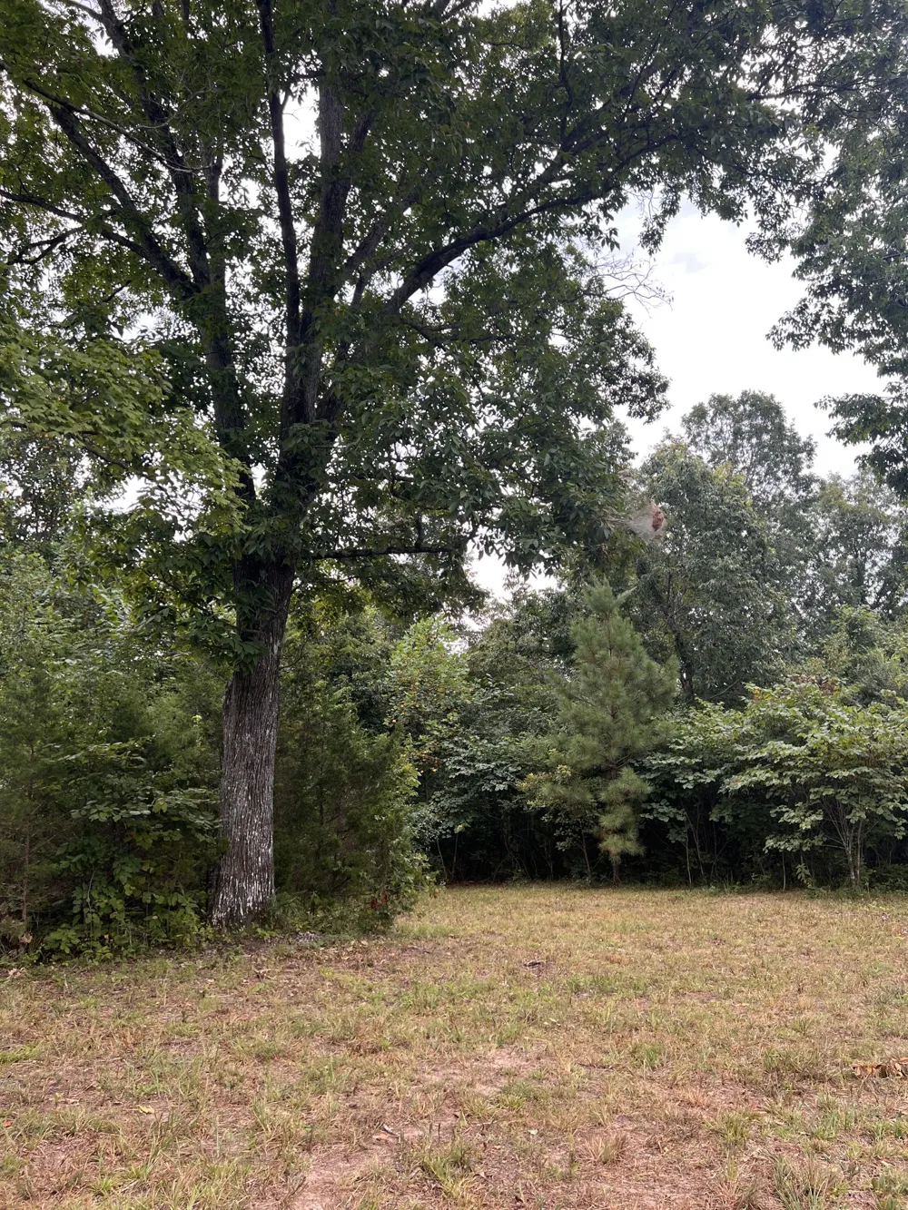 0 high Rise Dr Lyles, TN 37098