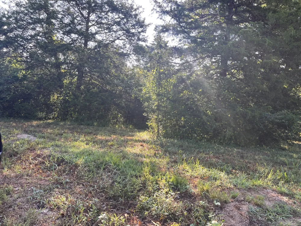 0 high Rise Dr Lyles, TN 37098