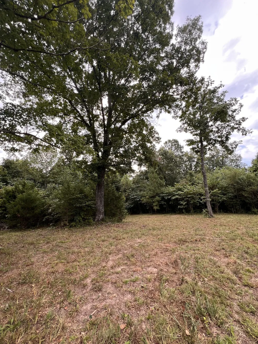 0 high Rise Dr Lyles, TN 37098