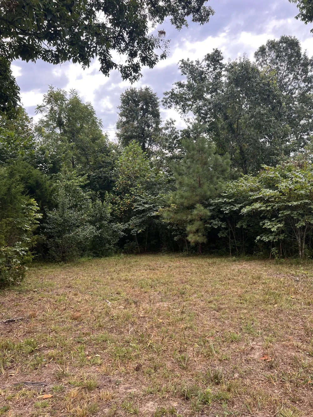 0 high Rise Dr Lyles, TN 37098