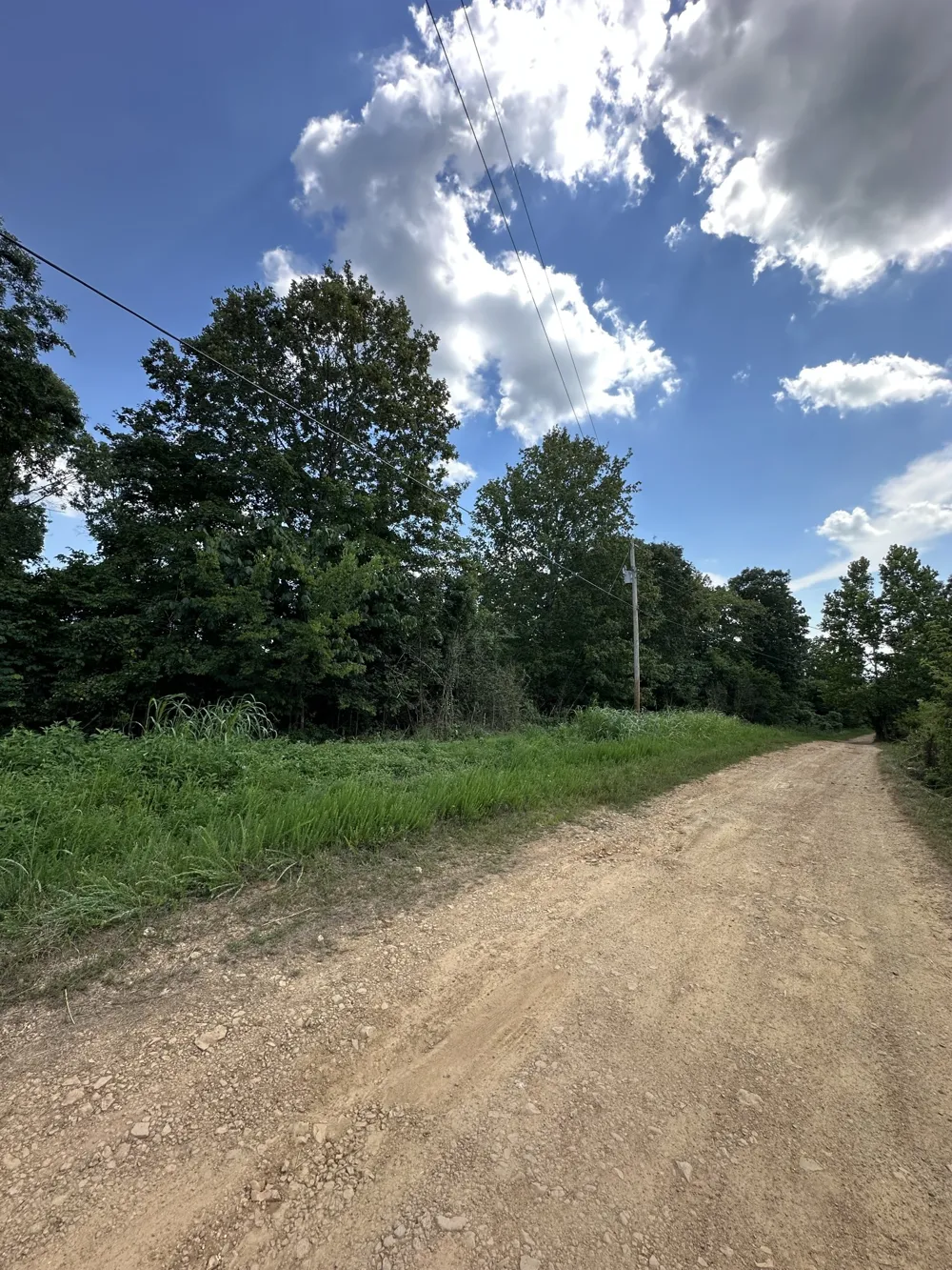 0 high Rise Dr Lyles, TN 37098