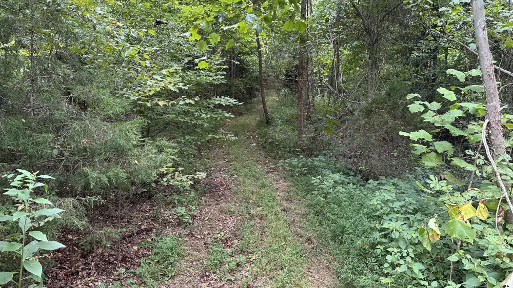 0 high Rise Dr Lyles, TN 37098