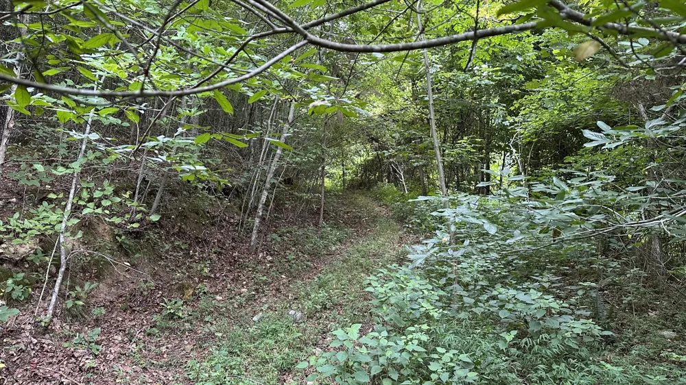 0 high Rise Dr Lyles, TN 37098