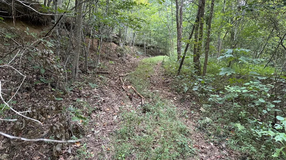 0 high Rise Dr Lyles, TN 37098