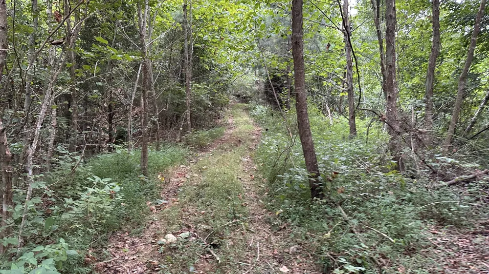 0 high Rise Dr Lyles, TN 37098