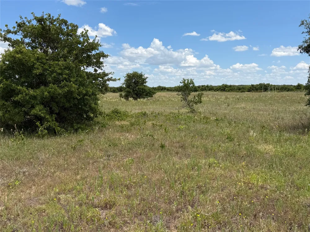 1450 CR 240 Rising Star, TX 76471