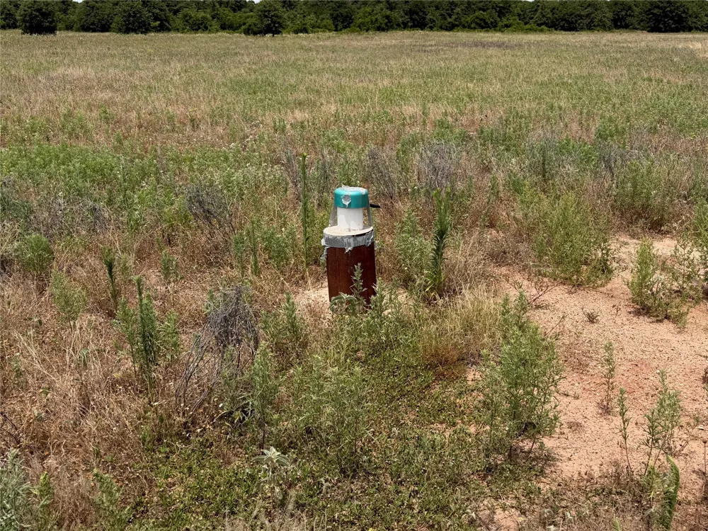 1450 CR 240 Rising Star, TX 76471