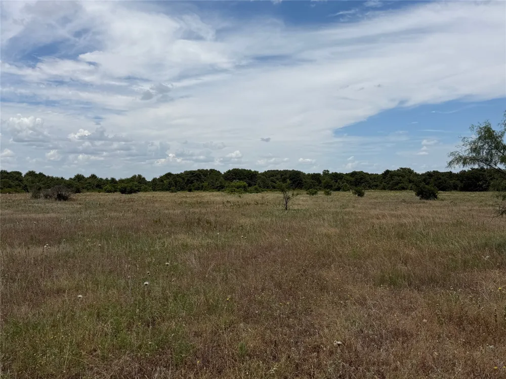 1450 CR 240 Rising Star, TX 76471