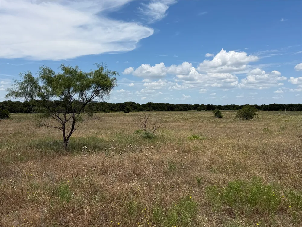 1450 CR 240 Rising Star, TX 76471