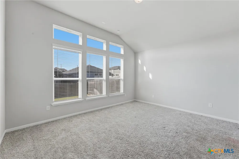 369 Durian Loop Buda, TX 78610