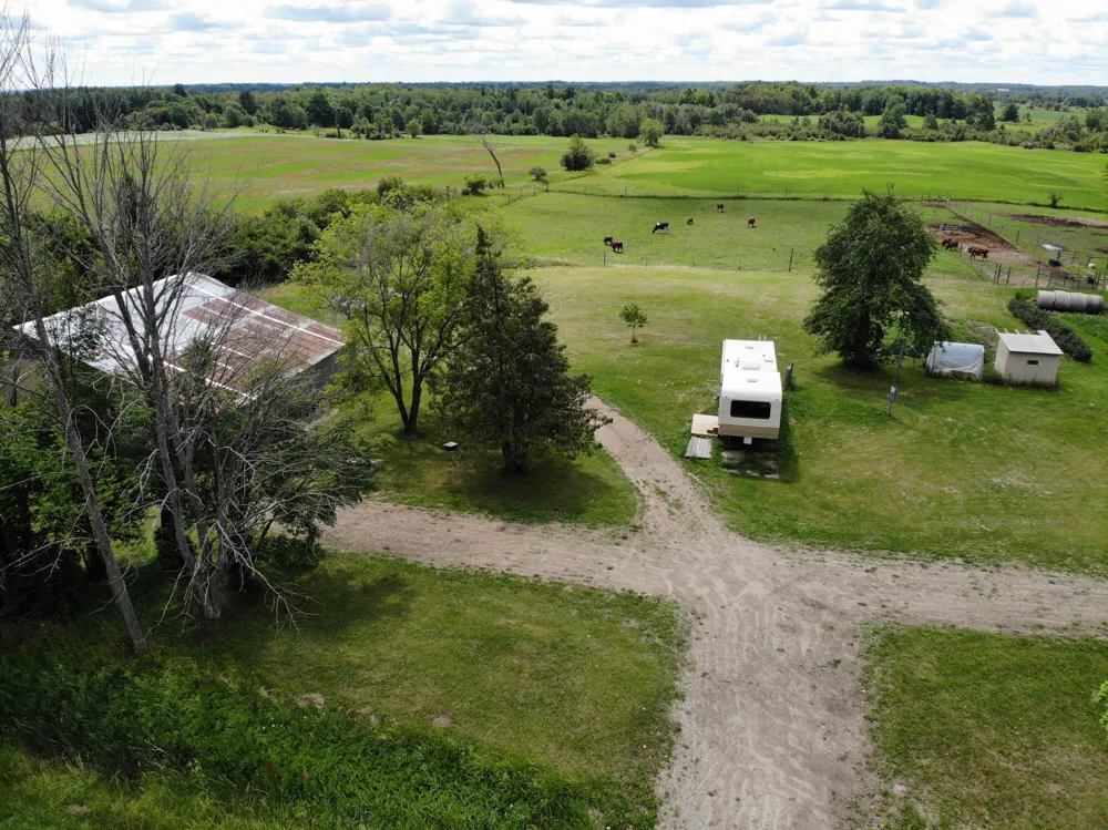4535 20 Mile Road Marion, MI 49665