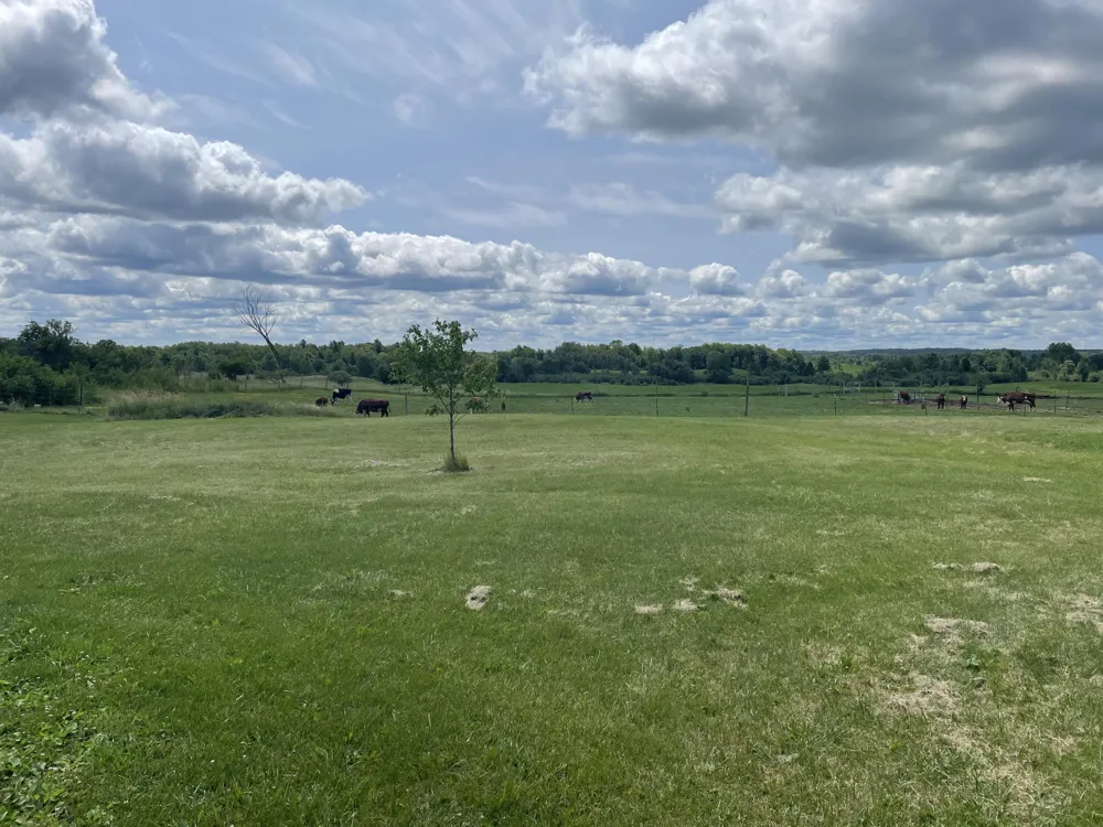 4535 20 Mile Road Marion, MI 49665