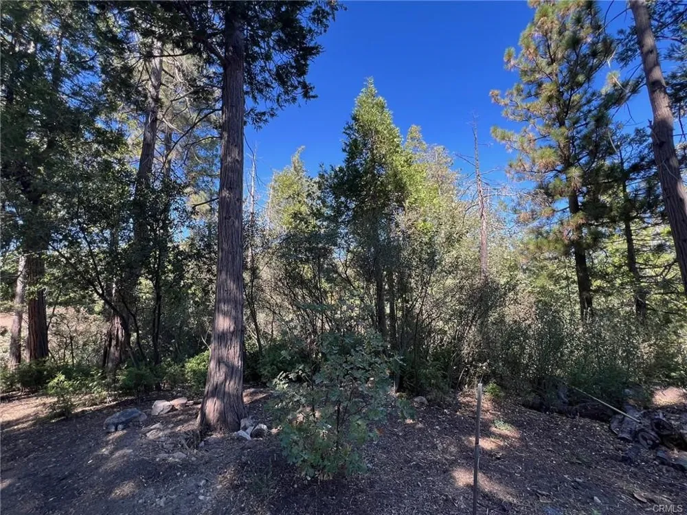 27530 North Bay Road Lake Arrowhead, CA 92352